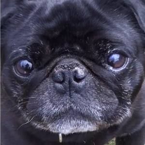 Meet your Posher, Filippo